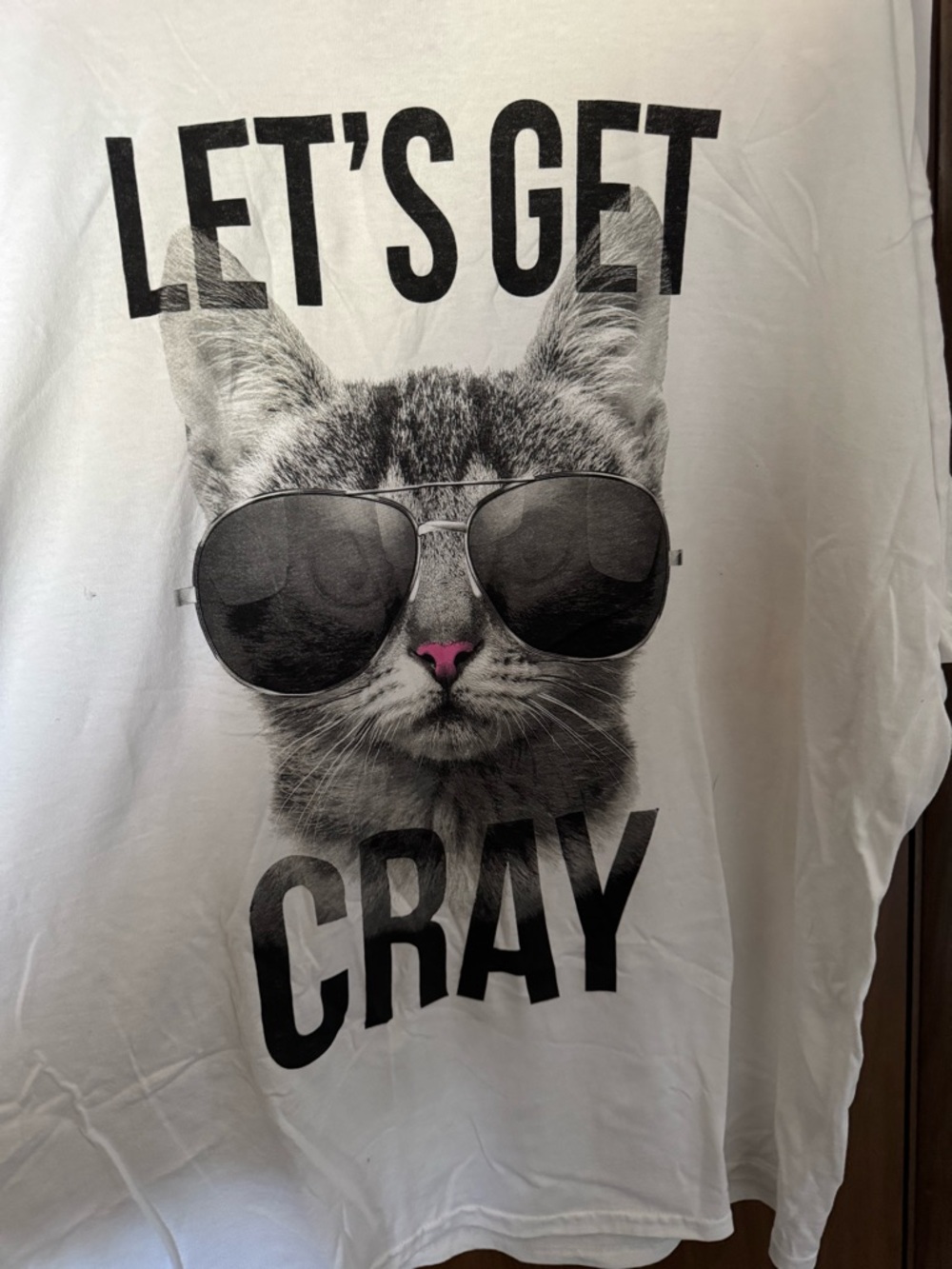 Gildan White Cat Graphic Tee with Black Sunglasses and Pink Nose NWOTS